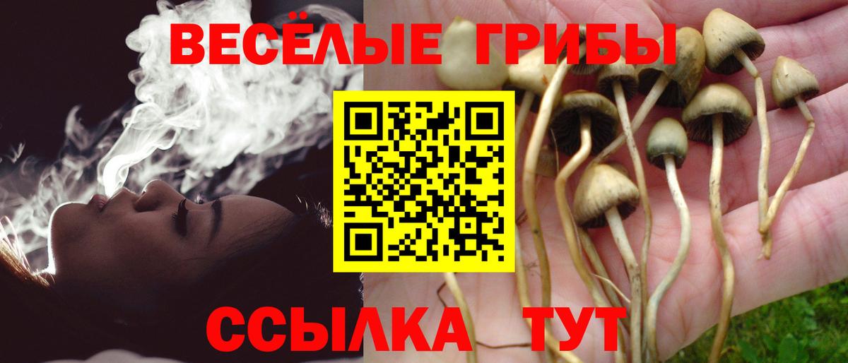 Галлюциногенные грибы прущие грибы  Вход с VPN  Калининград 